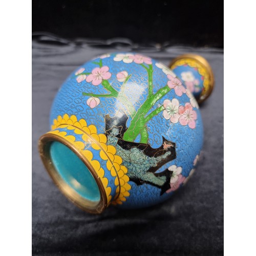 125 - A Blue Floral Antique Chinese Cloisonné Vase. With slight damage but is still a very lovely item. Vi... 