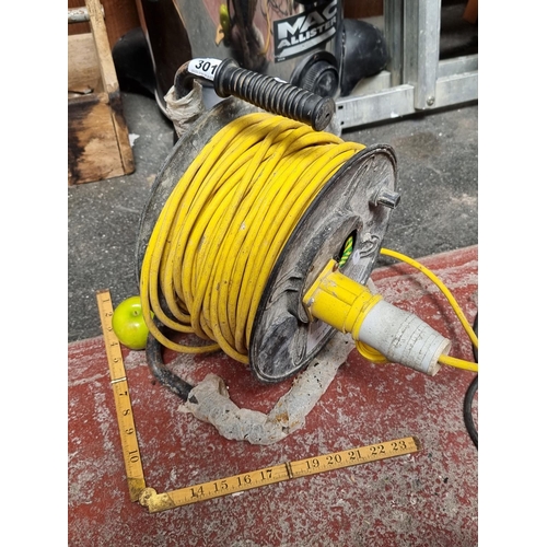 Lot 301       