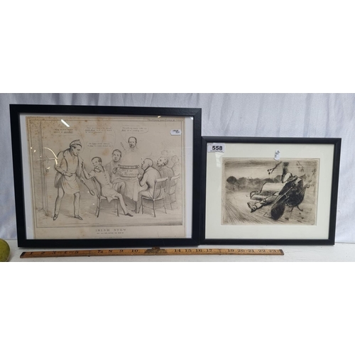 Lot 558       