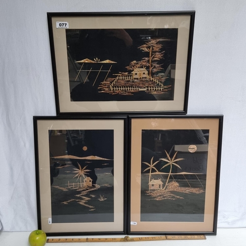 77 - A set of three collages made from dried grasses  placed on black linen. These are beautiful minimali... 