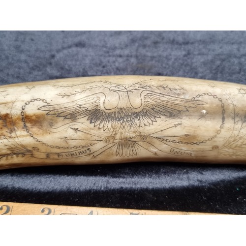 242 - An American Faux Scrimshaw Tusk with Engravings of an Eagle and Country Scene.