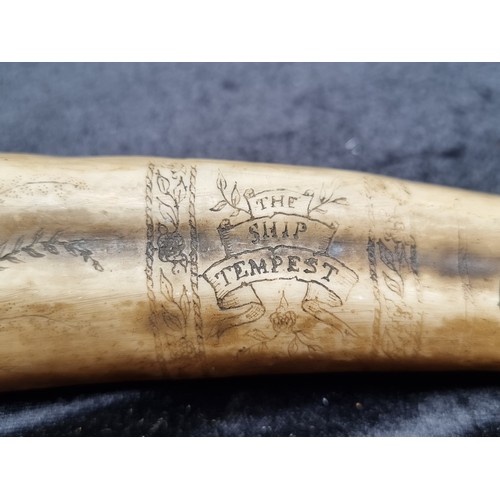 242 - An American Faux Scrimshaw Tusk with Engravings of an Eagle and Country Scene.