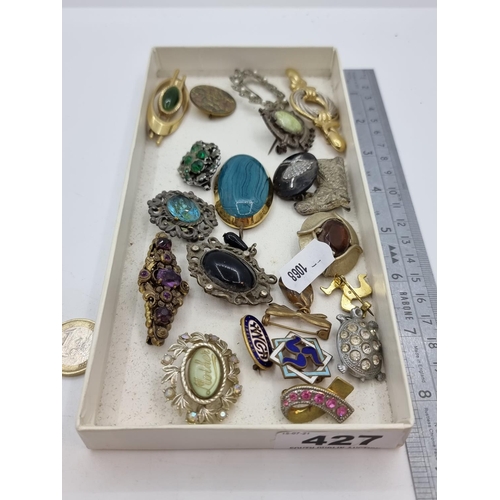 427 - A collection of twenty brooches, some vintage, mostly of polished stone design, all with clasps in g... 