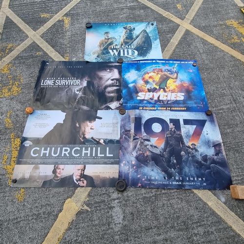 585 - 5 good size  Movie Posters Including 1917, Churchill and The Call of The Wild, Lons survivor and Spy... 