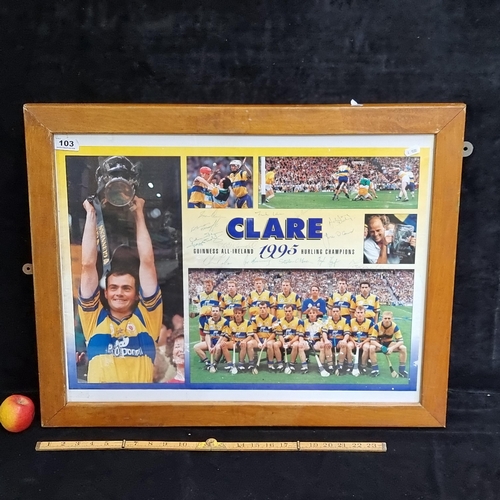 103 - Large signed  All Ireland Hurling Championship 1995 Poster. Signed by the Champion team of County Cl... 