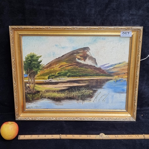 67 - Good sized original oil on board showing a Irish mountainous landscape, signed bottom left by artist... 