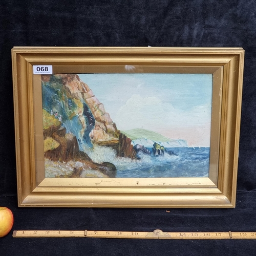 68 - 19th century Irish School Good sized original oil on board showing tourists in a rocky coastal scene