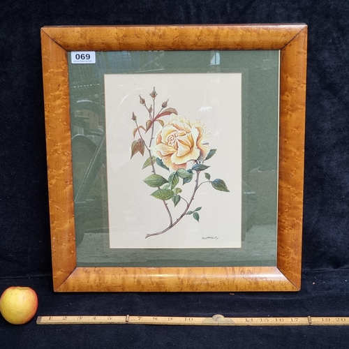 69 - Good sized original water colour of a yellow rose, signed bottom right by artist Iris McNeilly. In b... 