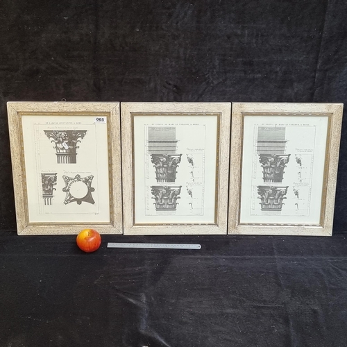 65 - Three prints showing the capitals of classical Roman pillars, specifically from the architecture of ... 