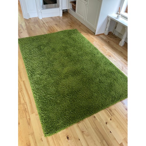 A green HAMPEN floor rug from Ikea. 160cm X 230cm. From the kitchen of the granny flat in the fab ho