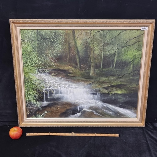 64 - Large original oil on canvas by listed Irish artist Darren McKenna. Shows a beautiful woodland river... 