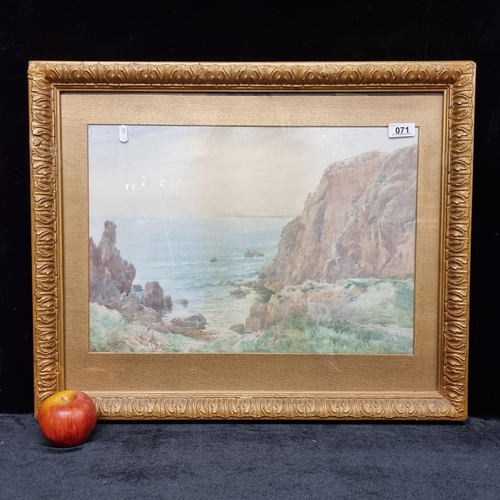 71 - A large 19th century Irish School original watercolour painting of a soft coastal scene framed by cr... 