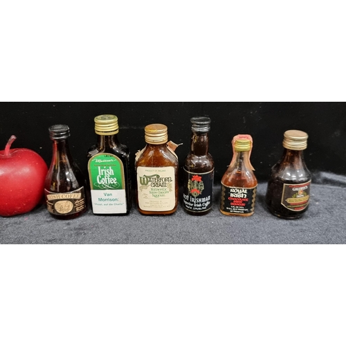 233 - Six Irish cream liqueur bottles (50ml) including examples such as ''Waterford Cream, and ''Van Morri... 
