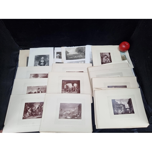 Lot 301       