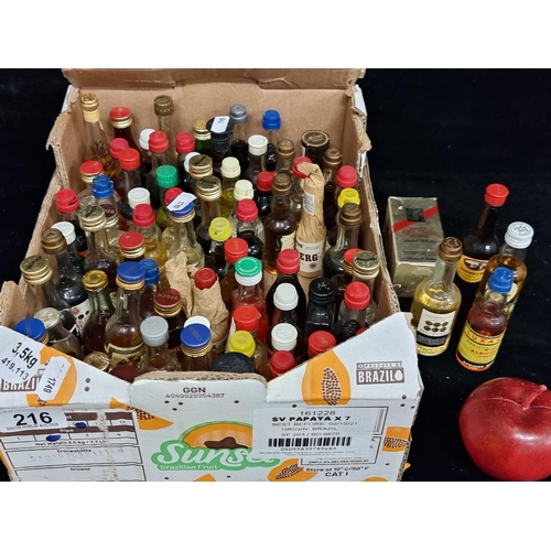 Lot 216       
