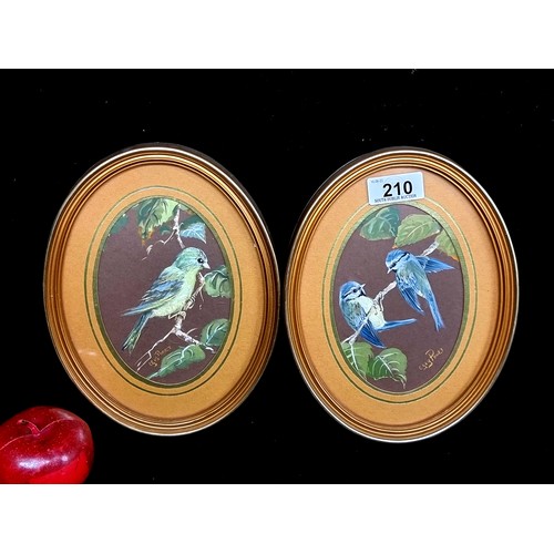 Lot 210       