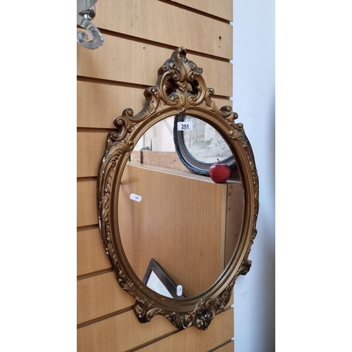 251 - A French style ormolough gilt detail vertical oval mirror. H69 cms.