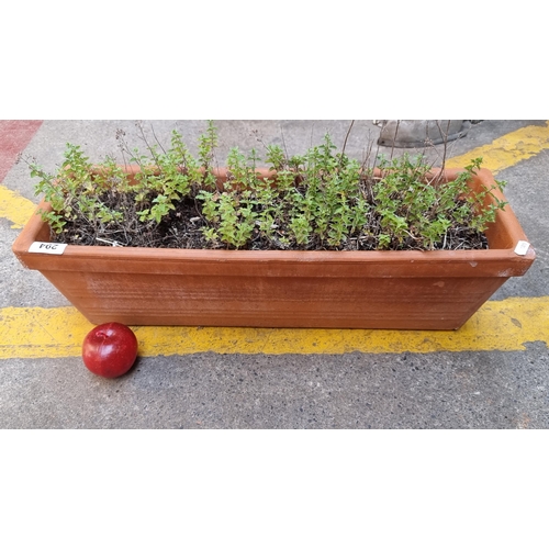 294 - A lovely heavy terracotta box planter, perfect for the windowsill.