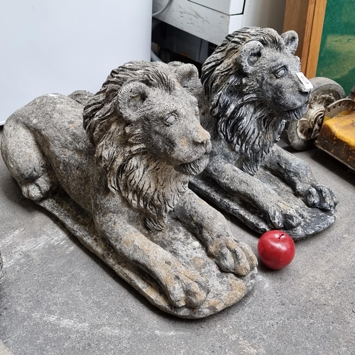 679 - A pair of large, very heavy garden decorations in the form of two regal lions. Very impressive. very... 