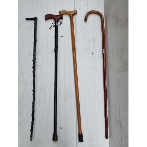 315 - A golf bag filled with vintage walking sticks including a natural form example and one with horn han... 