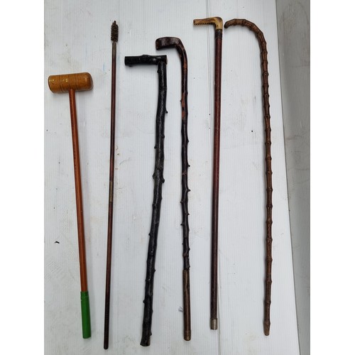 315 - A golf bag filled with vintage walking sticks including a natural form example and one with horn han... 