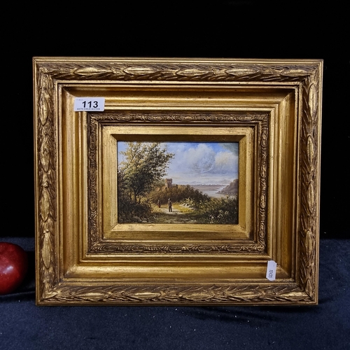 113 - A charming original oil on board painting of a rural landscape with village in the distance. Housed ... 