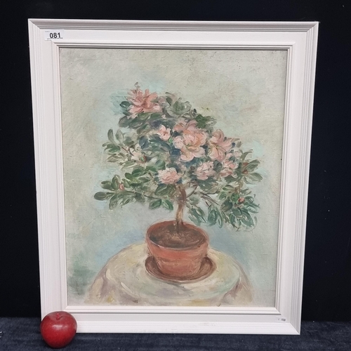 81 - Star Lot: A beautiful original oil on canvas still life by popular Irish artist Stella Steyn. Depict... 