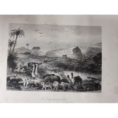 247 - An outstanding antique copy of ''The Illustrated Holy Bible'' Published in 1878 by John G. Murdoch a... 