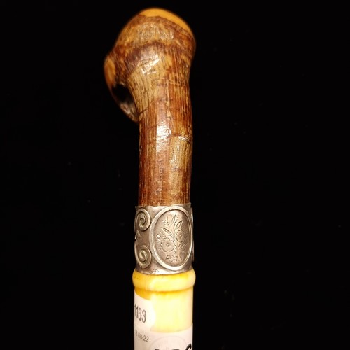 166 - An unusual antique walking stick with a burl wood handle and a bovine bone body.