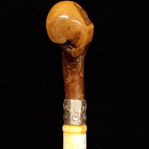 166 - An unusual antique walking stick with a burl wood handle and a bovine bone body.