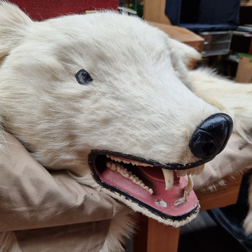 364 - Star Lot: A exceptionally rare and unusual, antique polar bear hide with taxidermy head, and wagging... 