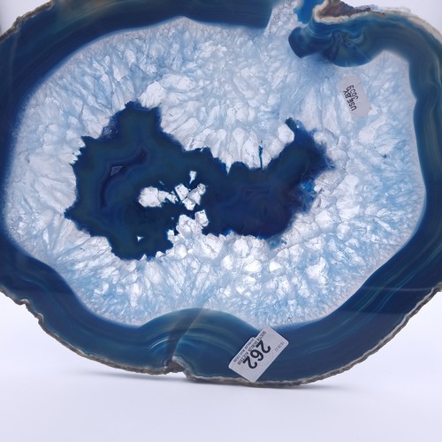 262 - A very large beautiful Blue Agate slab specimen, Impressive piece 14