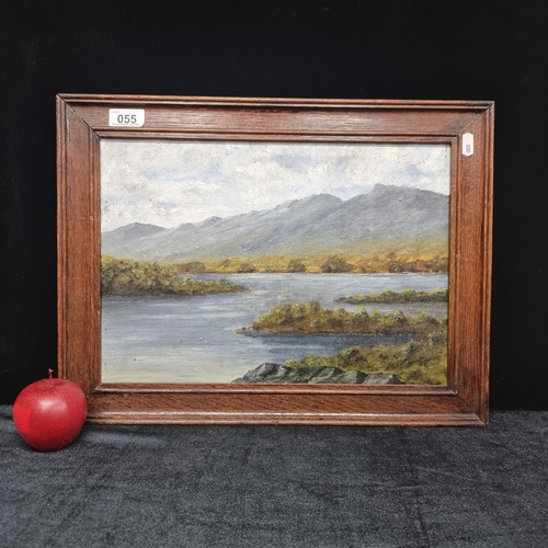55 - An original oil on board painting of a tradition west of Ireland landscape housed in a nice wooden f... 