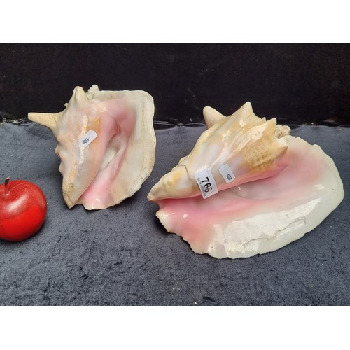 768 - Two large Queen Conch seashells with rich pink colour to interior.