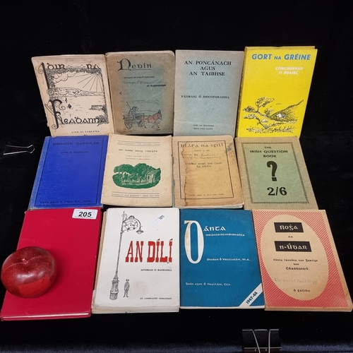 205 - A collection of fourteen vintage Irish language books and pamphlets  including 