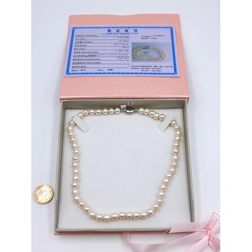 785 - A lovely Set of Fresh water Pearls with Sterling Silver clasp in original box with Cert. RRP €179 As... 