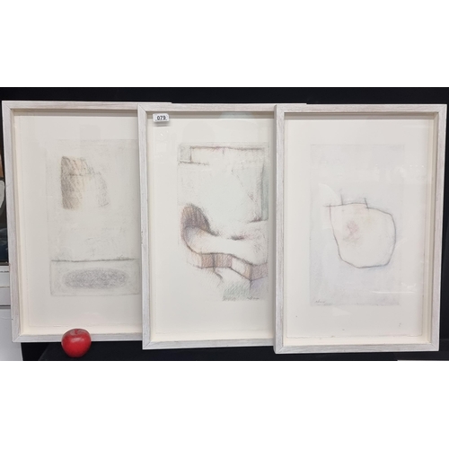 79 - Three fantastic original pencil on paper works by well established Irish artist Lorcan Walshe titled... 