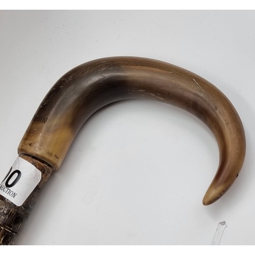 800 - Star Lot : A rare 1811 or 1911 Shark vertebrae walking stick. With A horn handle and tip and Great p... 