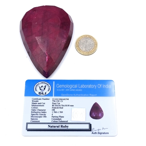 45 - A natural huge pear cut Ruby stone. Total weight of carats 756.15. Comes with GLI Certificate. Measu... 