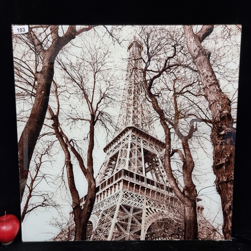 103 - A high quality print of the Eiffel Tower encased in glass.