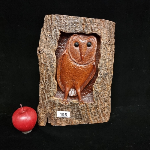 195 - A charming wooden wall mounting plaque featuring a hand carved owl in a bark frame.