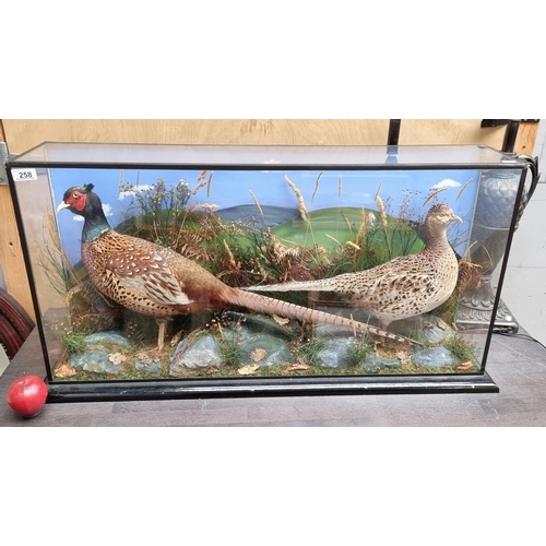 258 - Star lot : A beautiful example of a taxidermy female and male pheasant displayed in a country scene.... 