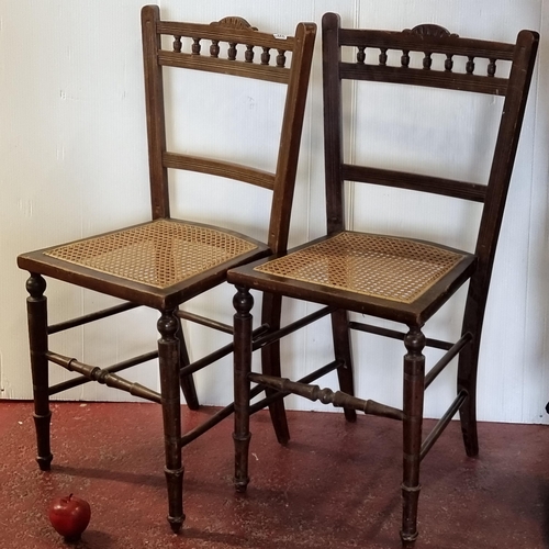 660 - Two lovely matching 1920s rattan seat chairs with carved double crest rail, finely turned supports a... 