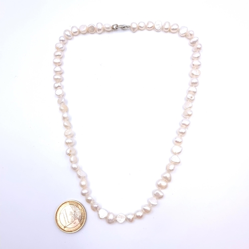52 - A very nice example of a Fresh Water Pearl necklace, set with a Lobster clasp. Length: 42cm.