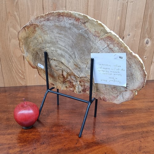 375 - A stunning, very large and heavy piece of petrified wood, hailing from Indonesia. Dating from the Ne... 