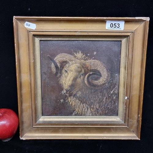 53 - A gorgeous original antique 19th century oil on board painting featuring a ram in atmospheric lighti... 