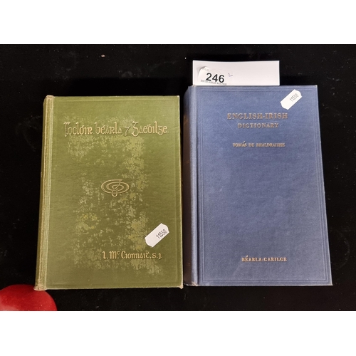 246 - Two vintage hardback English - Irish dictionaries, one by Thomás de Bhaldraithe (1959), the other by... 