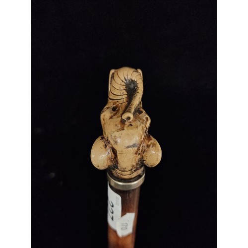 227 - A very dapper walking stick, with brass tip and pommel in the form of a carved elephant head.