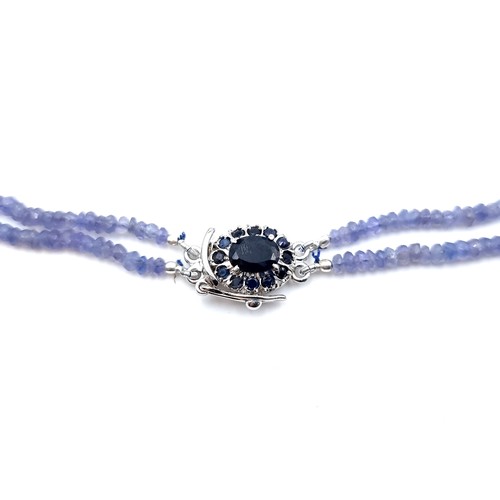 14 - A very pretty 145 carat two strand graduated Tanzanite necklace, set with a sterling silver Blue Sap... 