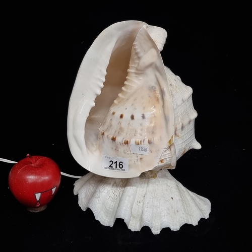 216 - An unusual natural very large conch shell lamp. (slight loss at the edge)